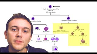 Blood Cancers Explained Leukemia Myeloma Lymphoma and more [upl. by Darrow749]