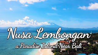 Nusa Lembongan  Only 20 Mins from Bali  Would 1 day enough to explore the Island [upl. by Atsillak]