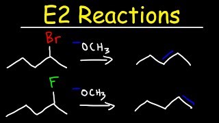 E2 Reaction Mechanism  Hoffman Elimination vs Zaitsevs Rule [upl. by Baptista947]