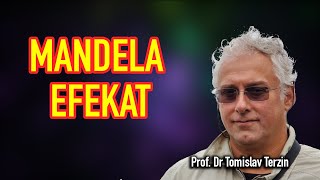 Tomislav Terzin  MANDELA EFEKAT [upl. by Dorehs]