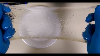 Making Stretchable Hydrogel  Synthesis polyAcrylamideAlginate wound dressing Hydrogel [upl. by Dominga840]