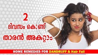 🙆Dandruff Treatment at home in MalayalamDandruff Removal Home Remediesതാരന്‍ Ethnic Health Court [upl. by Eralcyram]