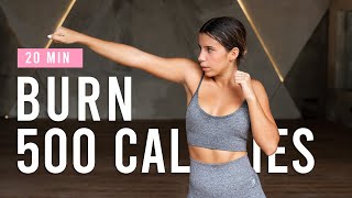 BURN 500 CALORIES with this 20 Minute Cardio Workout  HIIT Workout At Home [upl. by Fredette421]