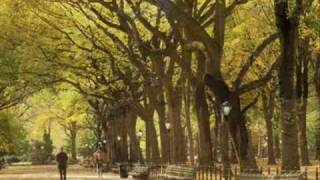 Autumn In New York  Sweet Jazz Trio [upl. by Licna]