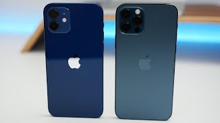 iPhone 12 vs iPhone 12 Pro  Which Should You Choose [upl. by Abra]