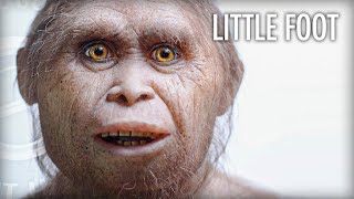 Why Homo Floresiensis May Still Be Around with Dr Gregory Forth [upl. by Leksehcey]