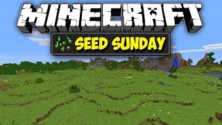 Minecraft 1122  Super Flat Plains Spawn  Seed Sunday  Ep241 [upl. by Biagi]