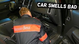 WHY MY CAR SMELLS BAD  MICE POOP IN THE HEATER [upl. by Pammie]