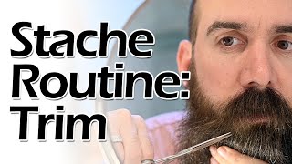 Beard Routine Mustache Trim [upl. by Licna]