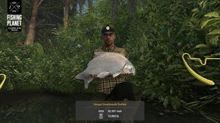 Fishing Planet  Quanchkin Lake  Louisiana  Unique Smallmouth Buffalo [upl. by Hastie]