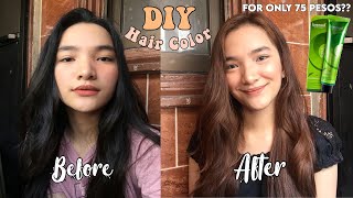 DIY HAIR COLOR AT HOME USING BREMOD NO BLEACH  DENAYS ANN [upl. by Assetan262]