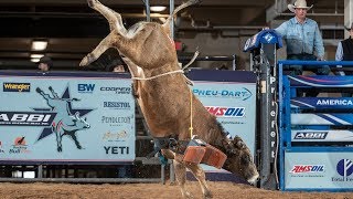 Future World Champion Bulls 🤔 Bucking Bulls Before They Get Ridden [upl. by Janice]