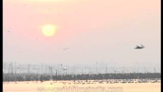 Triveni Sangam  the intersection of Yamuna and Ganges rivers [upl. by Aihpledalihp]