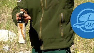 How to Use Bear Spray  Banff National Park [upl. by Lyns]