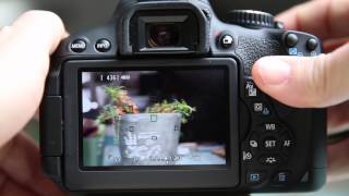 Canon T4i650D Live view options and Focusing Tips [upl. by Eenaj526]