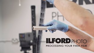 Processing Black amp White Film [upl. by Ellehcin812]