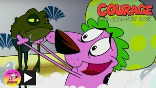 Courage the Cowardly Dog  Too Many Frogs  Cartoon Network [upl. by Bohs]