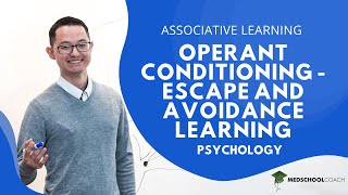 Operant Conditioning – Escape and Avoidance Learning [upl. by Aliber]