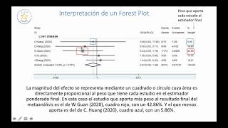 Interpretacion FOREST PLOT [upl. by Maidie]