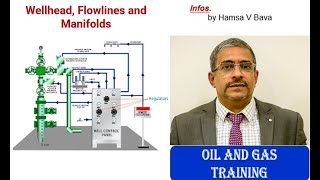 Wellhead Flowlines and Manifolds [upl. by Ainoyek859]