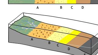 Walthers ideas about sedimentary facies [upl. by Eboj]