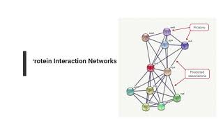 Protein Protein Interaction and Functional Analysis using String database [upl. by Reffotsirhc]