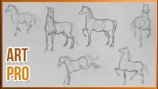 How to draw HORSES step by step 🐎 METHOD [upl. by Aduhey295]