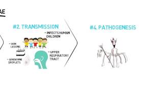 Corynebacterium Diphtheriae [upl. by Benetta]