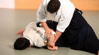 How to Do Gokyo  Aikido Lessons [upl. by Thomsen578]