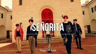 VAV  Senorita Sub español [upl. by Alcott808]