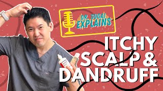 Dr Sugai Explains Itchy Scalp and Dandruff What Shampoos to Consider [upl. by Stilla256]