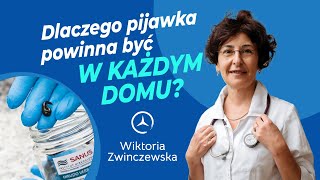 Dlaczego Pijawka Powinna Być w Każdym Domu [upl. by Lawrence]