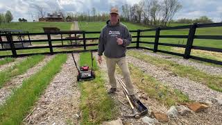 7 Easiest To Grow Vegetables For Beginners  Gardening 101 [upl. by Herby801]