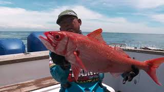 MANCING MANIA  EXTREME JIGGING SELAT LOMBOK 140418 13 [upl. by Kwarteng]