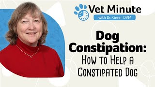 Vet Minute How to Help a Constipated Dog [upl. by Aitak285]