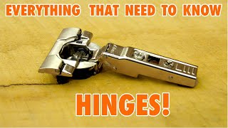 Cabinet Door Hinges  Everything you need to Know [upl. by Naedan359]