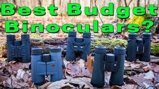 Best Budget Binoculars for Hunting [upl. by Enaelem483]