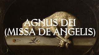 Agnus Dei  Catholic Latin Hymn [upl. by Wohlen633]