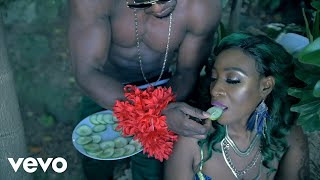 Macka Diamond  Cucumber Official Video [upl. by Noxas]