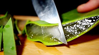 ASMR Cutting Aloe Vera [upl. by Nalon]