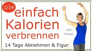 1️⃣ 32 min Ausdauertraining und Kalorien verbrennen  ohne Geräte [upl. by Inalial]