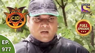 CID  सीआईडी  Ep 977 Jungle Mystery  Full Episode [upl. by Norward51]