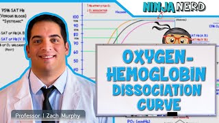 Respiratory  OxygenHemoglobin Dissociation Curve [upl. by Anaiuq]