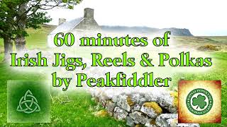 60 minutes Irish Jigs Reels amp Polkas [upl. by Alleoj]