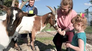 Familienabenteuer am Wurmberg in Braunlage  Harz [upl. by Anitnamaid655]