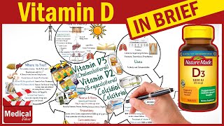 Vitamin D3 Cholecalciferol  Vitamin D2 Ergocalciferol  Calcitriol Sources Uses Dosage [upl. by Ojibbob]