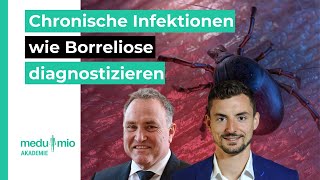 Labordiagnostik Chronische Infektionen wie Borreliose erkennen 🔬 Dr Schwarzbach [upl. by Ahseina]