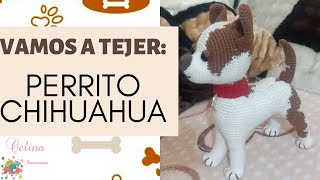 🐾Perrito Chihuahua a crochet Tutorial paso a paso😀Amigurumi [upl. by Rehpotsirhcnhoj784]