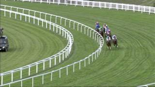 St Jamess Palace Stakes Royal Ascot 2011 [upl. by Shaffer974]