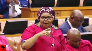 FUNNY COMEDY In Parliament  EFF vs FF Plus [upl. by Darrin620]